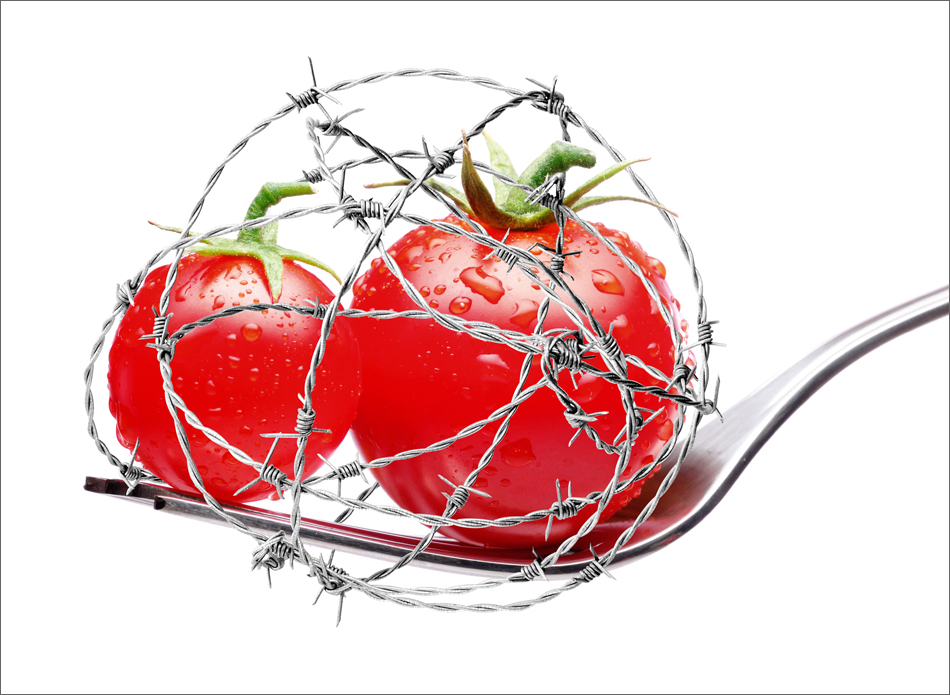 Tomatoes On Fork
